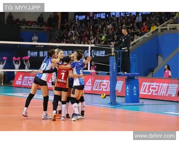 杭州排球队运营模式创新探索助力体育产业发展新篇章